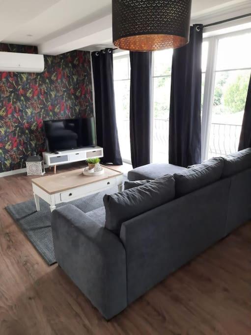 Superbe Appartement Climatise Au Centre Ville 777 Brazey-en-Plaine المظهر الخارجي الصورة